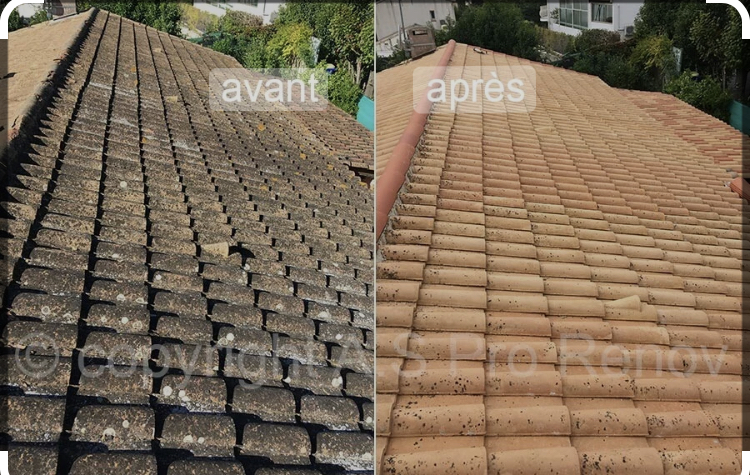 Nettoyage de toiture - réalisation