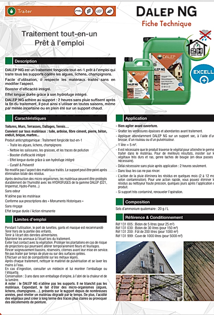 Nettoyage de toiture - réalisation